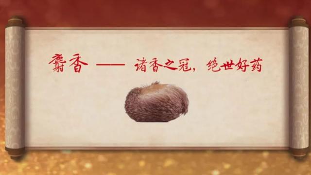 ----^ˎFS𣬱˅a(b)